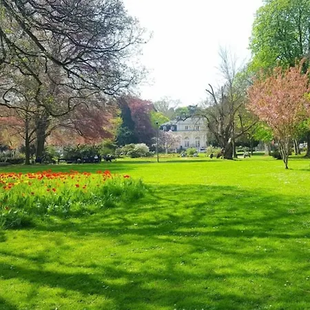 Premium Homestay Bonn